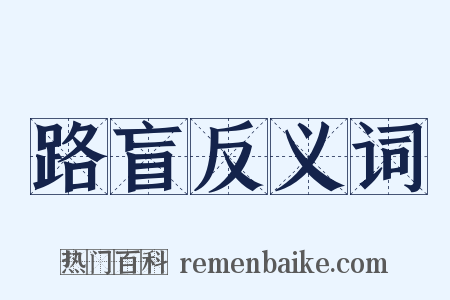 路盲反义词是什么意思的图片